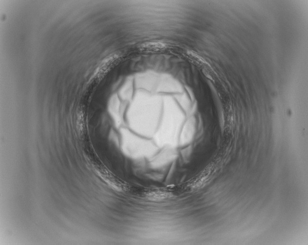 X0000070420708200607072334