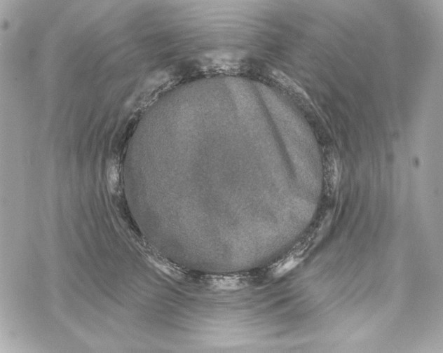 X0000070420709200607072334