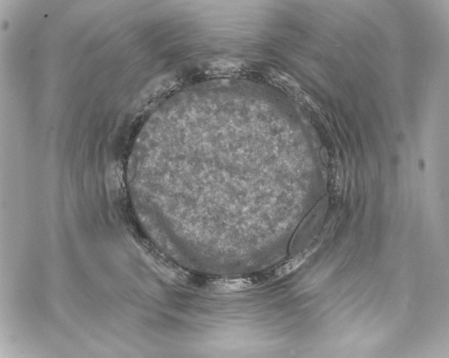 X0000070420711200607072334