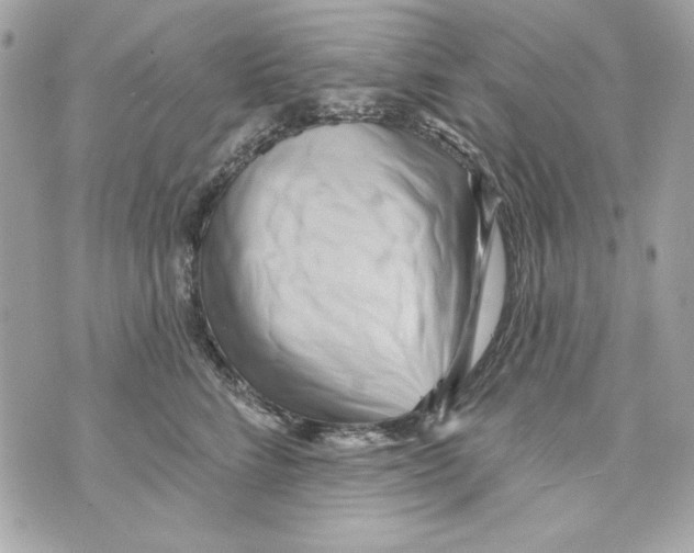 X0000070420712200607072334