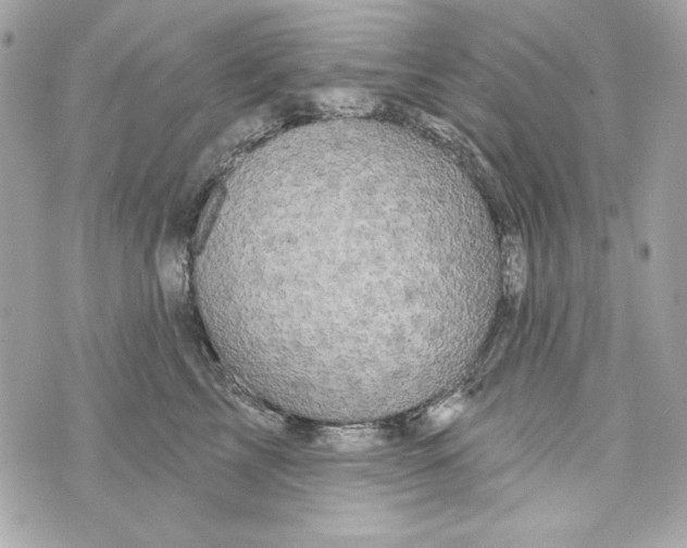 X0000070420713200607072334