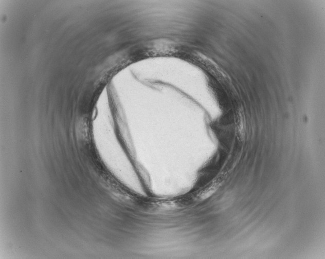 X0000070420715200607072334