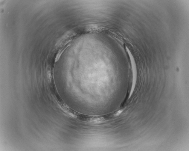 X0000070420716200607072334