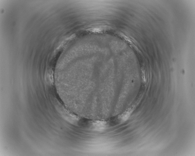 X0000070420718200607072334