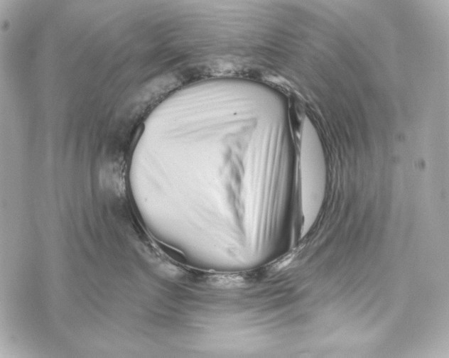 X0000070420719200607072334