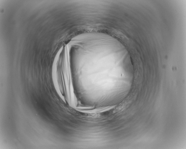 X0000070420720200607072334