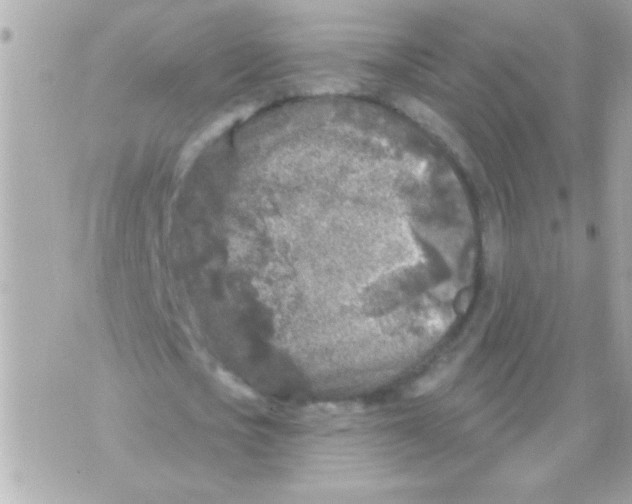 X0000070420721200607072333