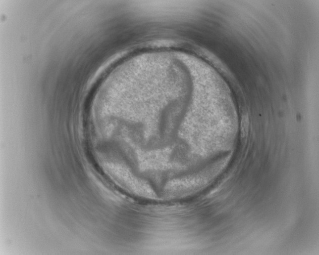 X0000070420722200607072333