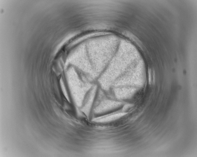 X0000070420723200607072333