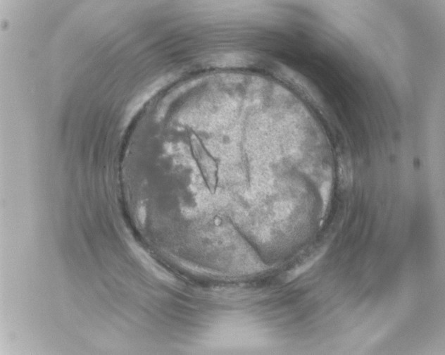 X0000070420725200607072333