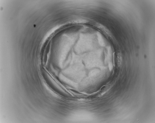 X0000070420726200607072333