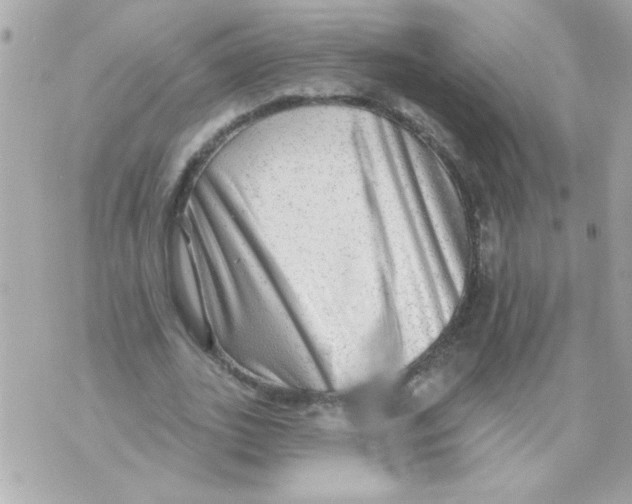 X0000070420727200607072334