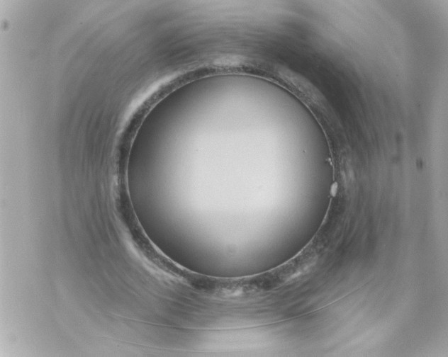 X0000070420728200607072334