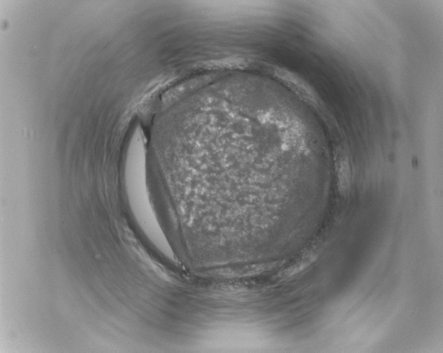 X0000070420729200607072334