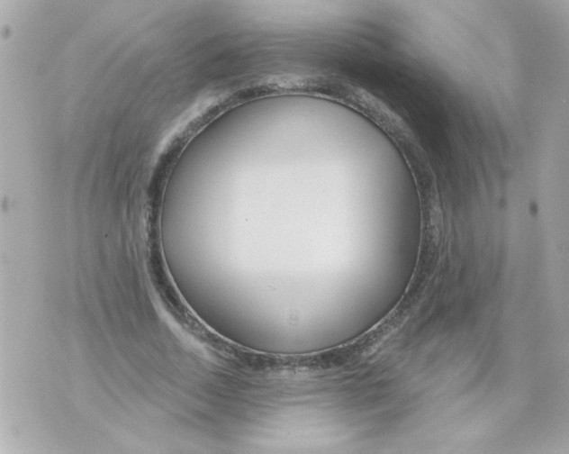 X0000070420730200607072334