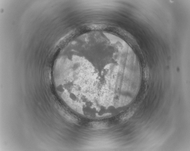 X0000070420733200607072334