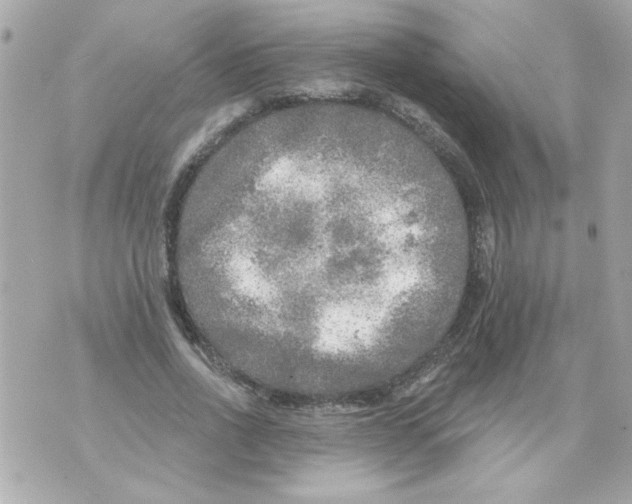 X0000070420734200607072334