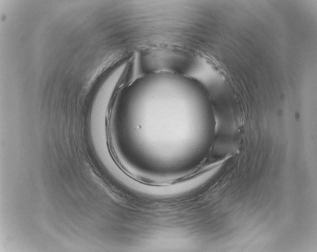 X0000070420735200607072334