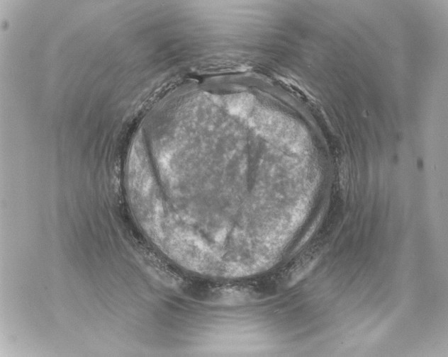 X0000070420737200607072334