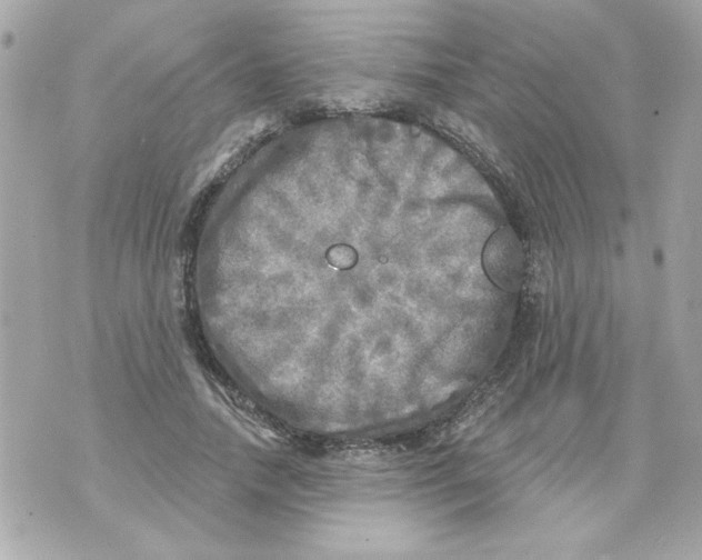 X0000070420738200607072334