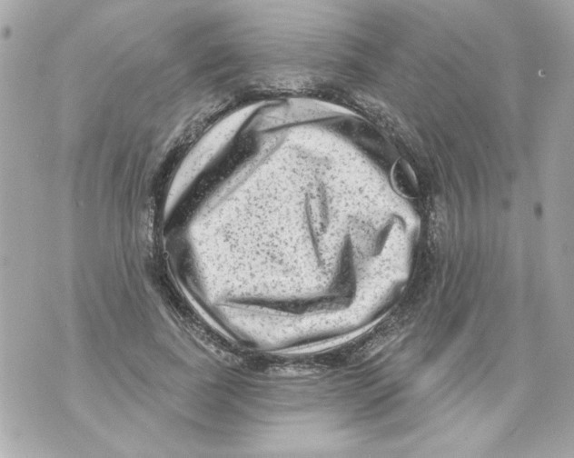 X0000070420739200607072334