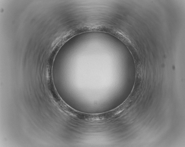 X0000070420740200607072334