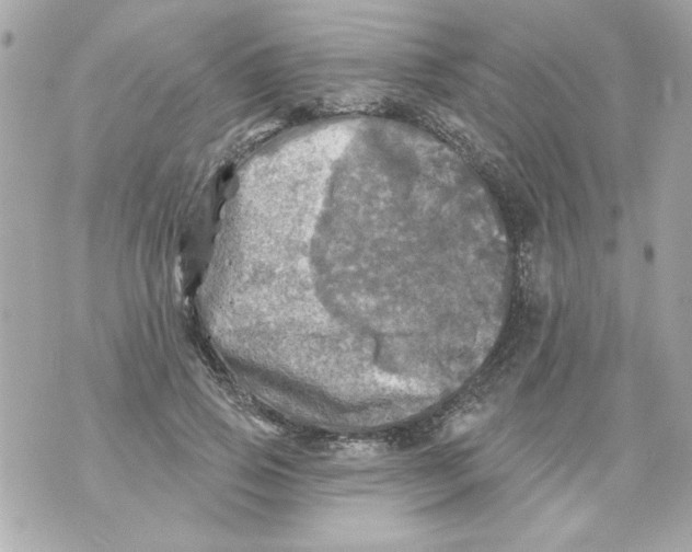 X0000070420741200607072334