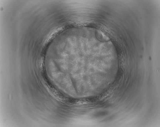 X0000070420742200607072334