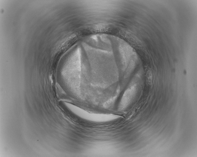 X0000070420746200607072334