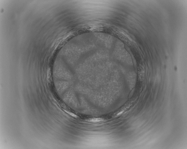 X0000070420748200607072334