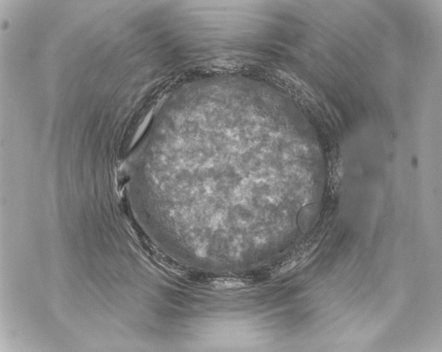 X0000070420749200607072334