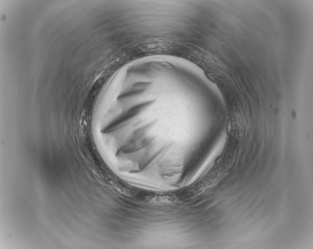 X0000070420751200607072334