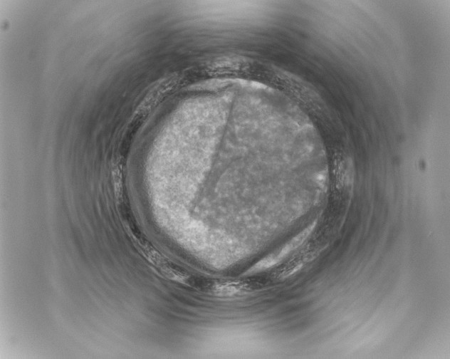 X0000070420753200607072334