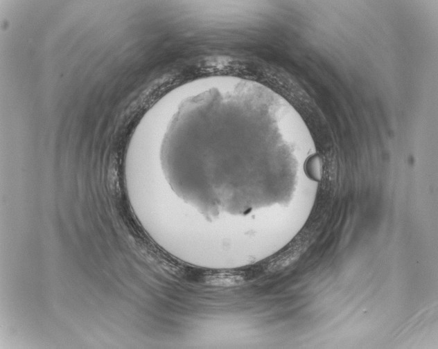 X0000070420754200607072334