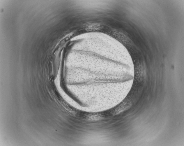 X0000070420755200607072334