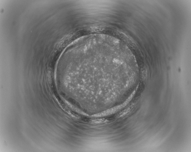 X0000070420757200607072334