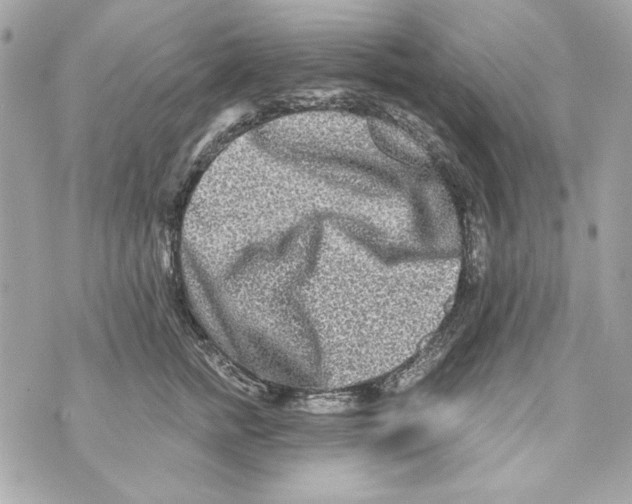 X0000070420758200607072334