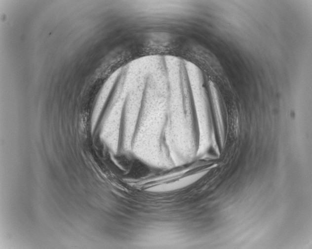 X0000070420759200607072334