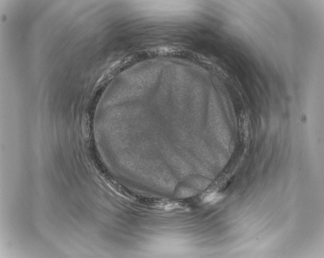 X0000070420760200607072334