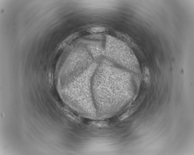 X0000070420763200607072334