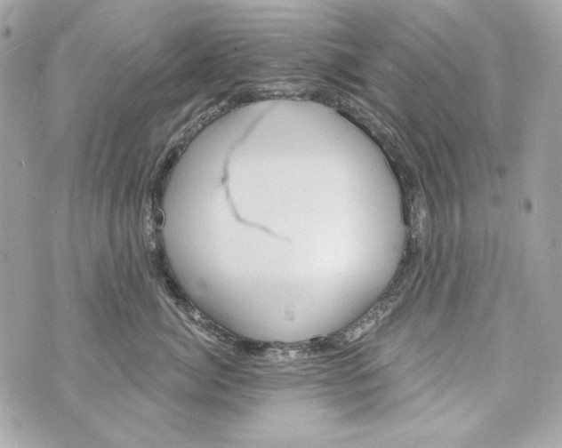 X0000070420764200607072334