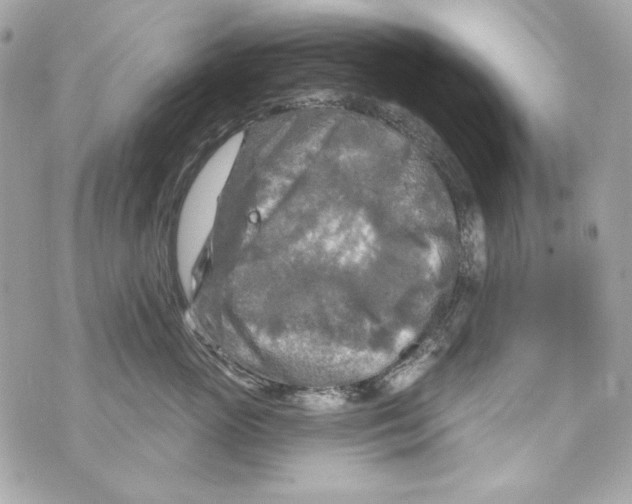 X0000070420765200607072334