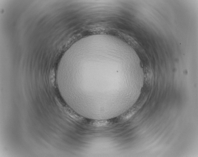 X0000070420767200607072334