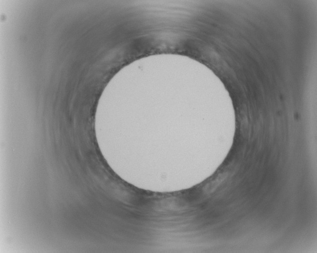 X0000070420769200607072333