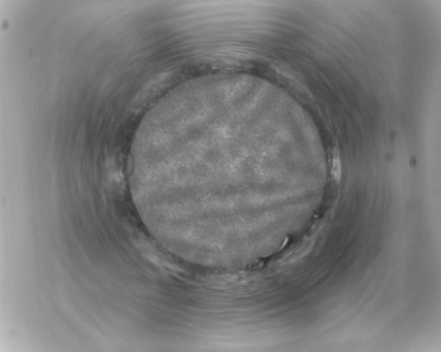 X0000070420771200607072333