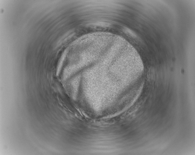 X0000070420774200607072333