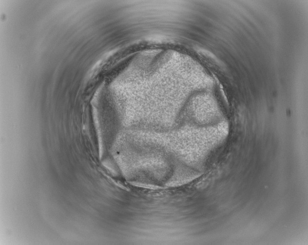 X0000070420776200607072333