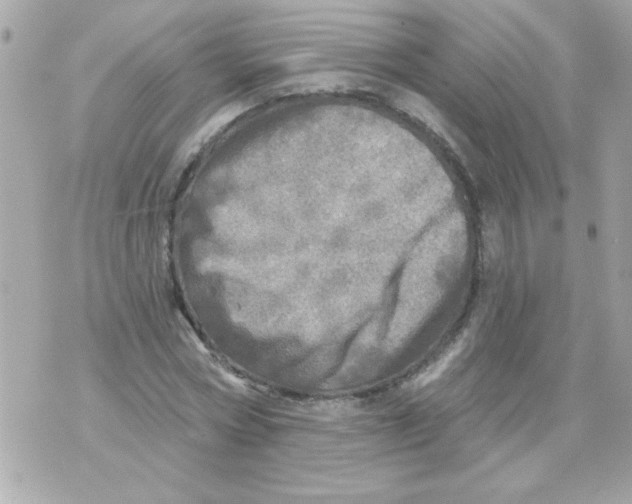 X0000070420778200607072333