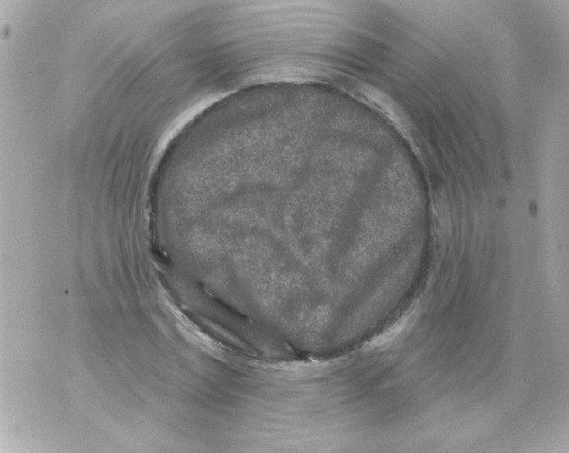 X0000070420779200607072333