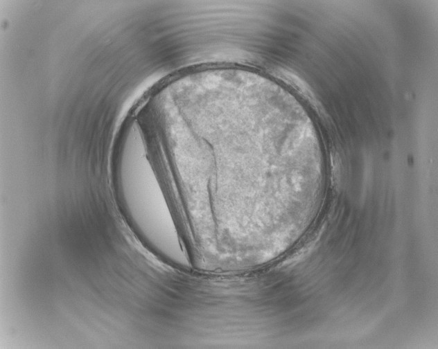 X0000070420780200607072333